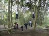 Escalada de Arboles (1)